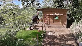SOCIETA' AGRICOLA PRONTO CAMPI S.S.