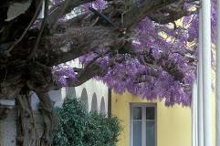 Casa di Salute Raphael