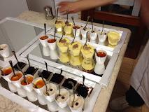 HOTEL RISTORANTE EUROPA