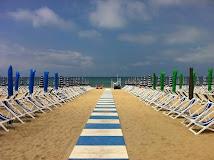 Orchidea Marina