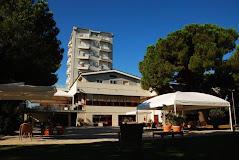 HOTEL PERROZZI