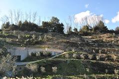 Olivium