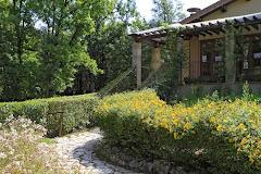 CAMPING BOSCHETTO DI PIEMMA