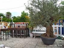 Villa Gentile