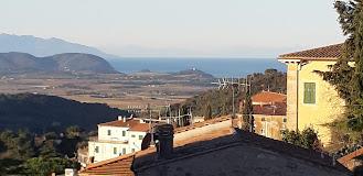 Tos'Camere Papillon