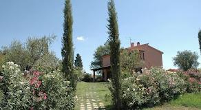 Pian Dei Pini