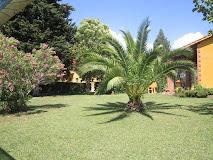 La Carlina