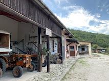 AZIENDA  AGRIT.CASALE S.ANTONIO