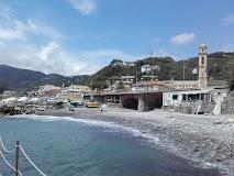 Il Rospo