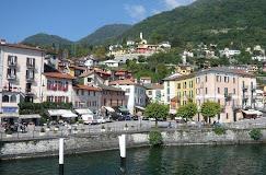 Cavaria