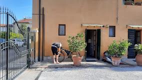 LA CORTE DI STELIO  B&B