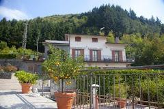 CA' NESI