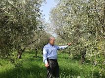 Azienda Agraria Bacci Noemio