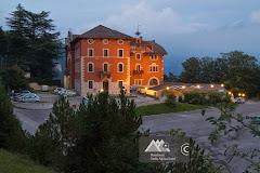 Stella Alpina