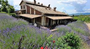 AGRITURISMO BELSITO PIAN DI BOCCIO