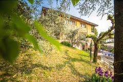 Le Mistral  (Agriturismo)               