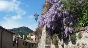 Ca' Marcello