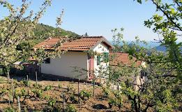L' Oasi Del Rossese