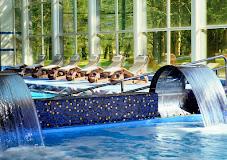 TERME DI MONTICELLI SPA