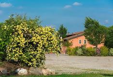 Agriturismo Corte Morandini