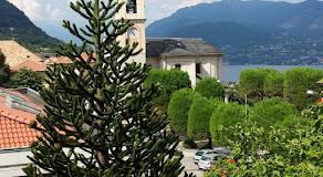 ANTICO ALBERGO ALZESE 