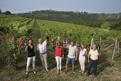 Azienda Agricola Giribaldi Mario