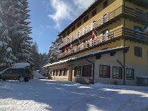 Hotel Des Alpes