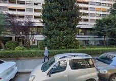 Le Magnolie