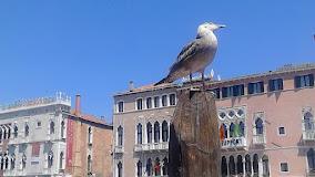 Giudecca Bella