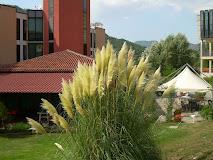 ALBERGO RIVER