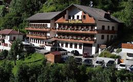 Alpenrose