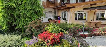HOTEL DES ALPES