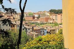 La Pineta
