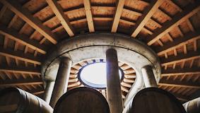 Podere Guado Al Melo