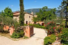 La Tenuta Dei Ricordi S.S. Az. Agricola