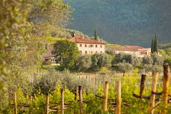 Agriturismo Costa Degli Ulivi           
