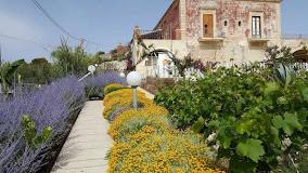 Primo Passo Sea Garden