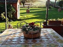 TENUTA AGRICOLA FONTE DI PAPA