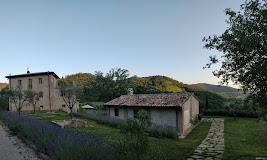 GAIATTONE