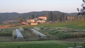 TENUTA DEL FONTINO