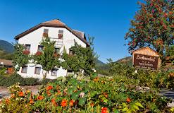 APPARTEMENTS LECHNERHOF