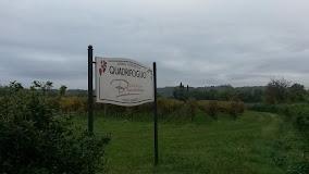Agriturismo Il Quadrifoglio Di Bronzo Michele