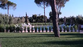 PODERE NONNO GINO