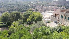 Il Giardino dei Mandarini