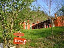 Acero Campestre Di Aldo Guerra