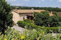 Tenuta Serpepe