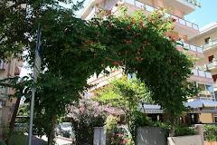 HOTEL MADISON DI PLAZZI RODOLFO & C. SAS
