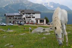 RIFUGIO MAI TARDI