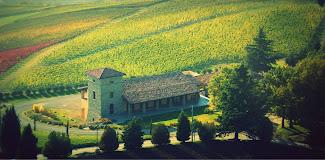 TENUTA BONZARA