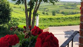 AGRITURISMO FERRARI